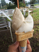 �������ȕ����i��~���N