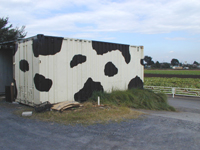 ���R���e�i