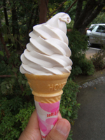 �I����\�t�g