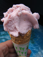 �Ԃǂ��̃A�C�X