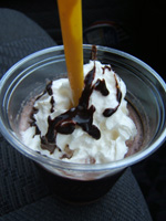 �V���R���L�T�[