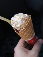 �R�[���A�C�X