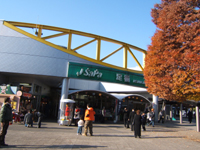 �����T�[�r�X�G���A