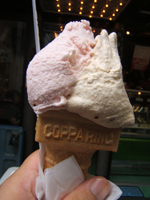 �����������[�Y��