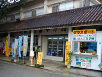 �약�ό��݂₰�X