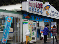 �약�}����