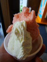 �}��+�g�}�g