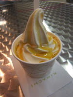 �V�u�X�g�J������