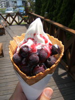 �u���[�x���[