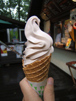 �ԓ��\�t�g