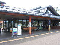 ����Ă���