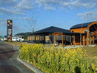 �O�F��翂̗�