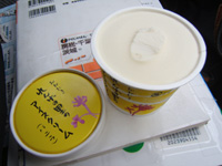 �o�j���A�C�X