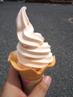 �g�}�g�̃\�t�g