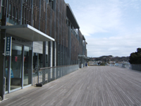 ���̉w���c