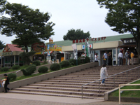 �ߐ{����SA