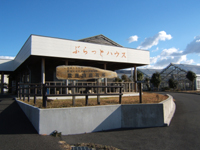 �ӂ���ƃn�E�X���X