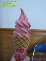 �������\�t�g