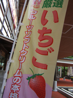 �������̃m�{��