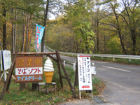 �Q���X��