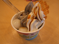 ���ʍ������Ӗ�