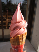 �삢�����\�t�g�N���[��