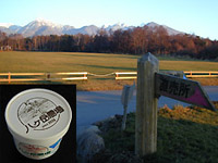 �_��ƃA�C�X