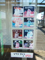 �\�t�g�A�C�X